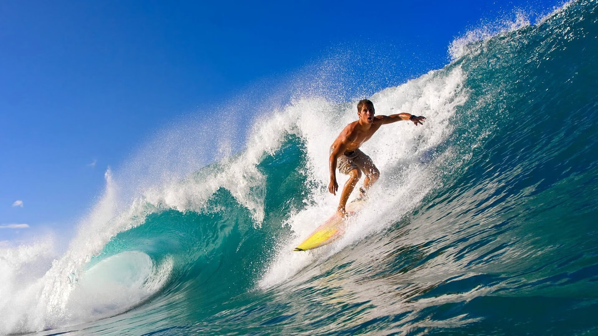 开云体育在线赛事直播-韩国数字化治理经验获推广，韩国数字经济发展