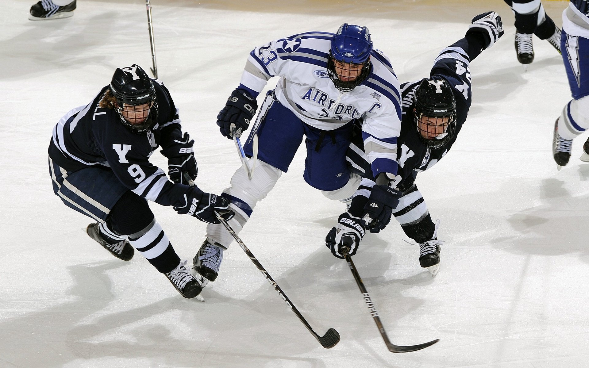 欧洲女子篮球超级联赛中，波兰与捷克队羽翼渐丰，期待奇迹，波兰球欧洲杯